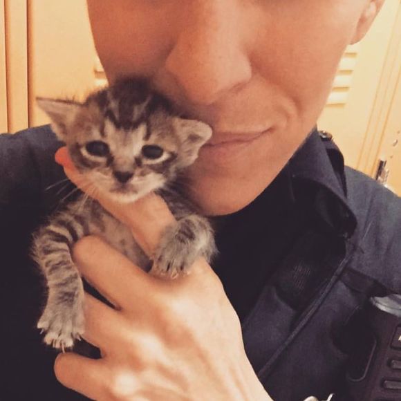 Meet your Posher, Juana - Picture 1 of 1